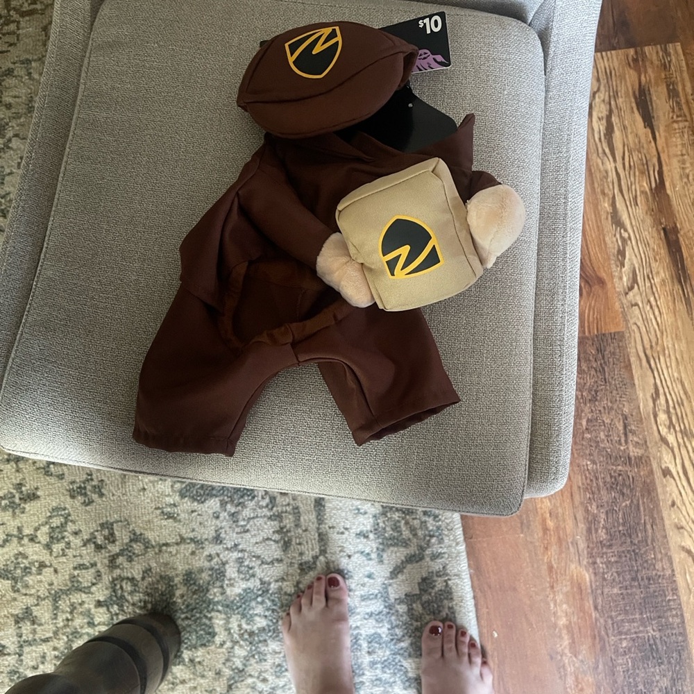 Dog Costume with Hat and Package - Brown